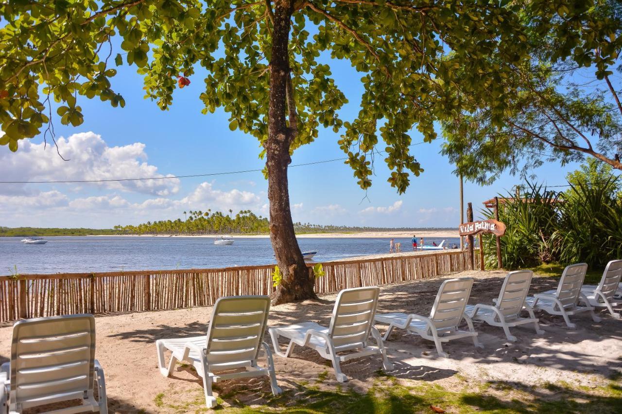 Pousada Vila Palma Boipeba Velha Boipeba Ngoại thất bức ảnh
